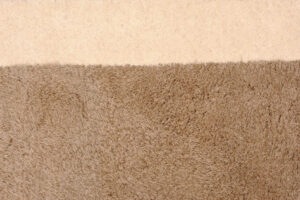 Border wool rug - 170 x 240cm - natural - shag pile with tufted pile border - pile detail