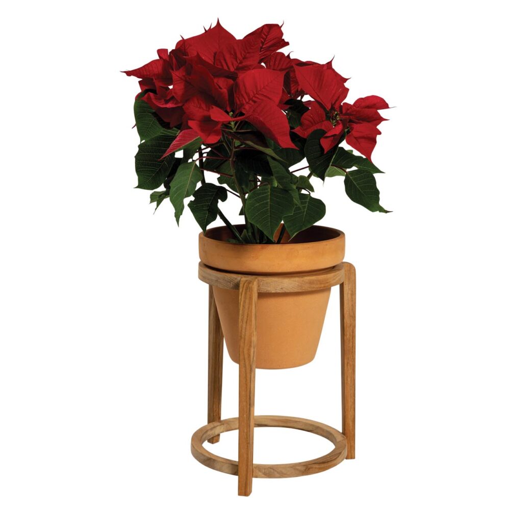 luna teak plant stand and outdoor light stand