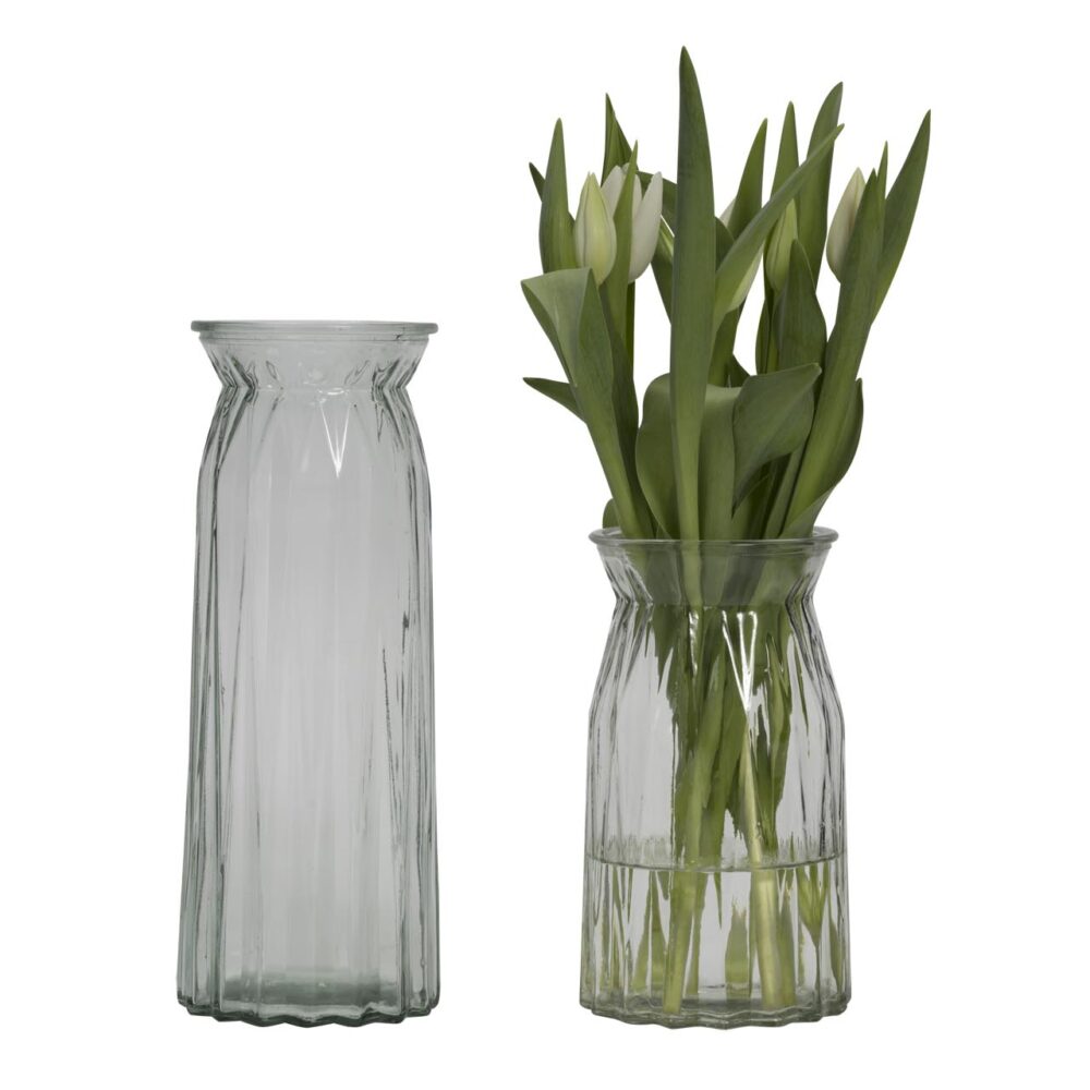 flute glass vases - 30cm & 20cm - clear glass - shown with tulips