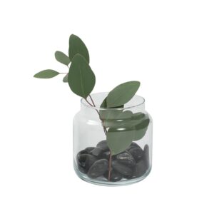 shoulder mini vase - with foliage small clear glass vase