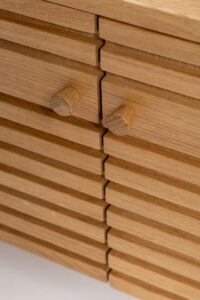 chameleon 150 low unit - door detail